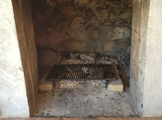 Ella オパティヤ